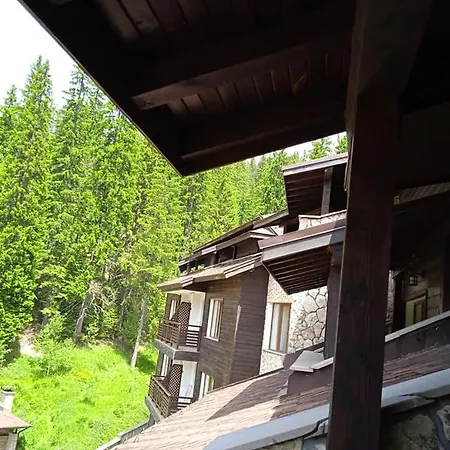Apartment спа,ски дайли, стрийм ризорт Pamporovo