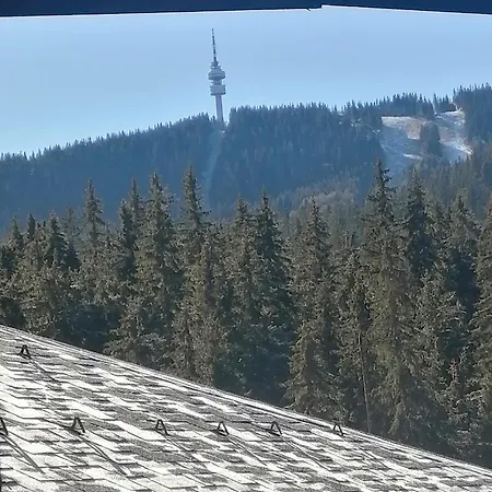 спа,ски дайли, стрийм ризорт * Pamporovo