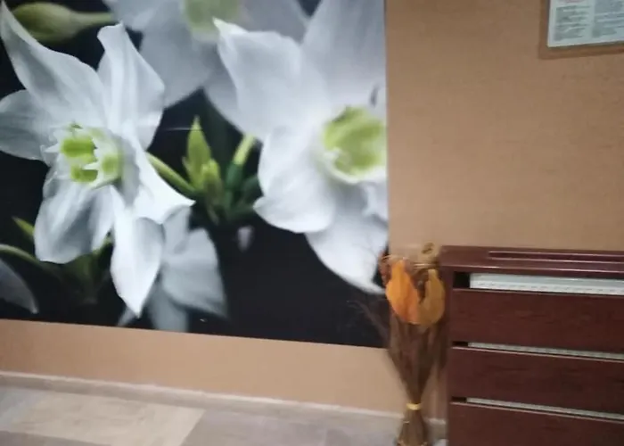 Διαμέρισμα спа,ски дайли, стрийм ризорт