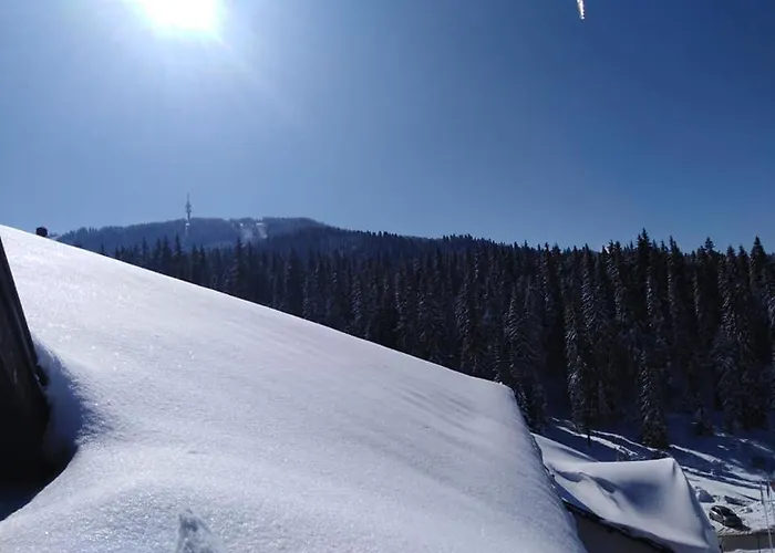 спа,ски дайли, стрийм ризорт Διαμέρισμα