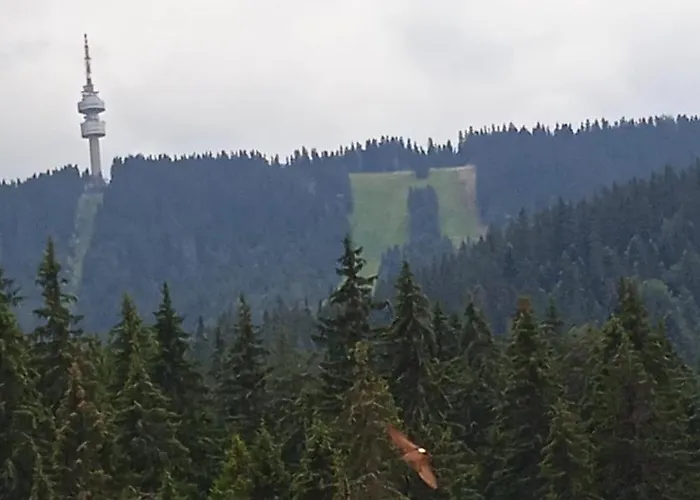 Διαμέρισμα спа,ски дайли, стрийм ризорт *