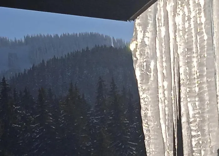 Διαμέρισμα спа,ски дайли, стрийм ризорт Παμπόροβο