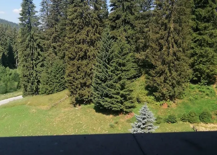 спа,ски дайли, стрийм ризорт Διαμέρισμα *